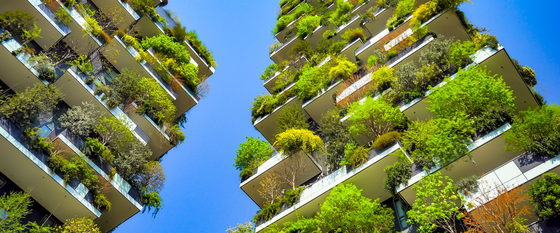 What are the characteristics of sustainable architecture?